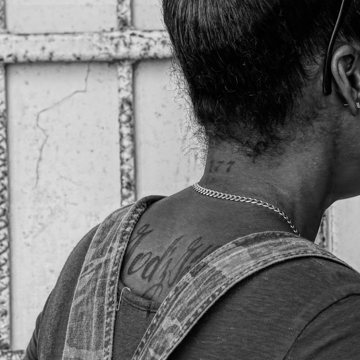 blue and black yungs