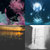 Manonc13 thumbnail
