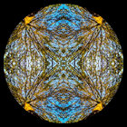 Azidax thumbnail
