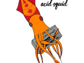 Acid Squid photo 