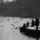 ad_matteo thumbnail