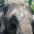 Salman Mahmoud thumbnail
