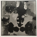 The Raincoats photo