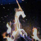 Siamorain thumbnail