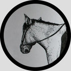 Ed Millington thumbnail