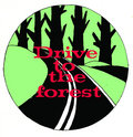 Drive To The Forest image