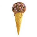 Lousy Sue photo