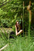 kelpi image