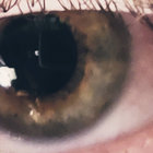 Adam Alten thumbnail