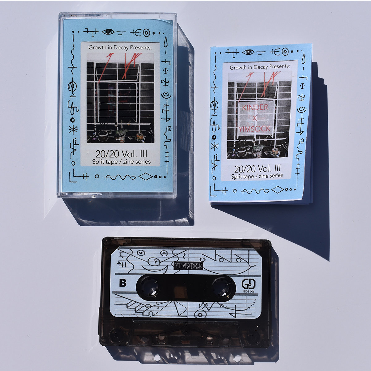 20/20 Vol. 3 Split Tape / Zine Series | Growth in Decay