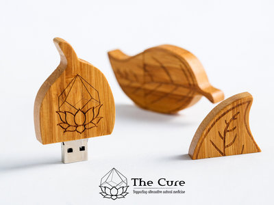 Engraved 32gb Wooden USB leaf shaped memory stick main photo