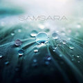 Samsara image