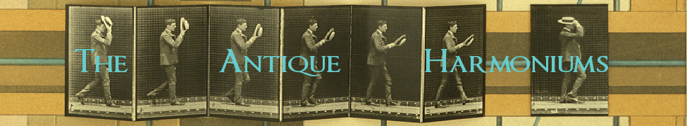 The Antique Harmoniums — Photo