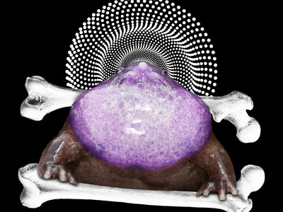 Purple Frog T-Shirt main photo