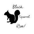 Black Squirrel, Run! image