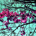 Eclipsr thumbnail