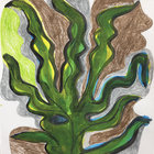 scott wolniak thumbnail