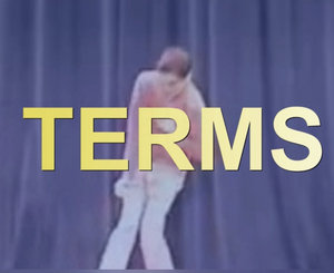 Terms and Conditions