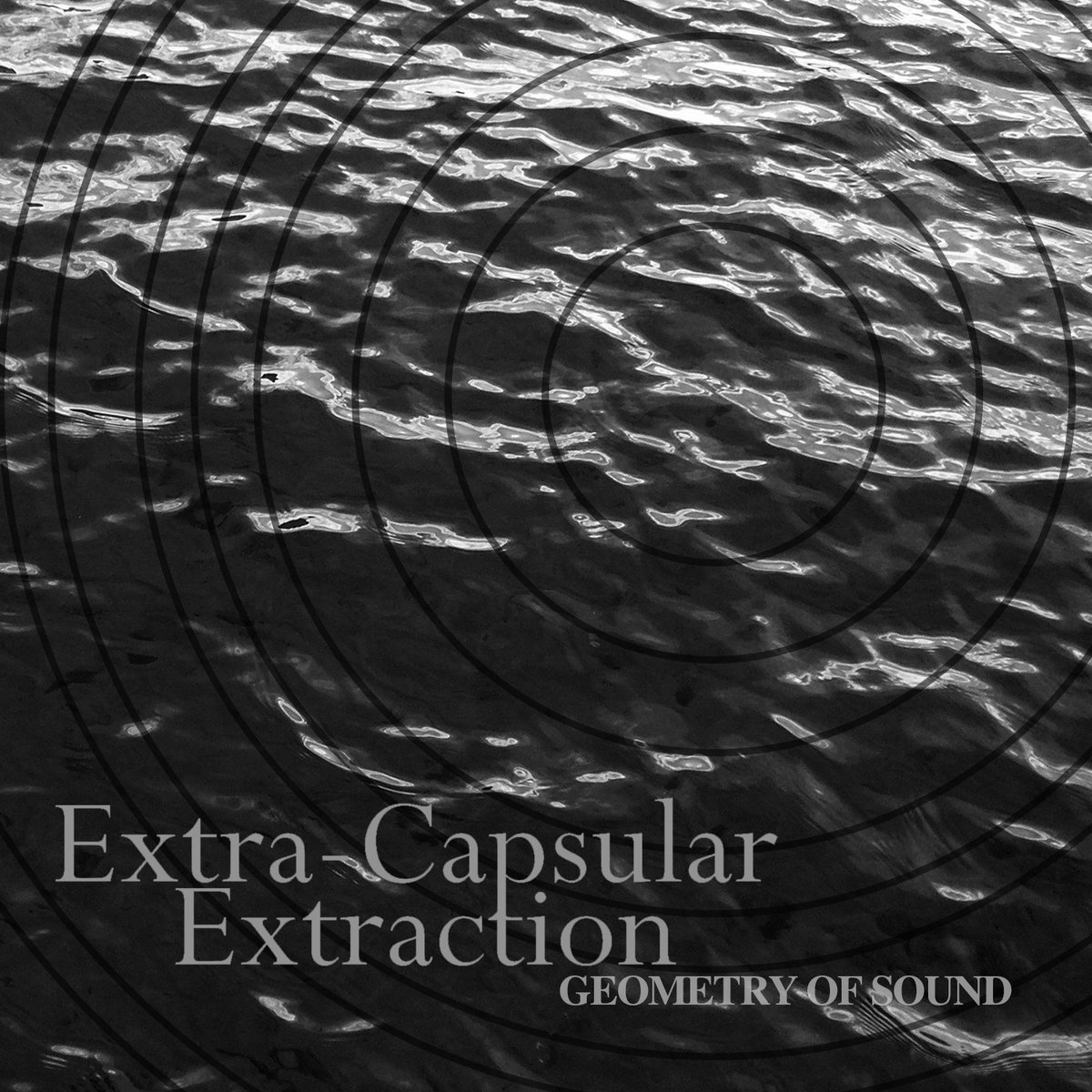 Geometry Of Sound Extra Capsular Extraction Michal Kielbasa