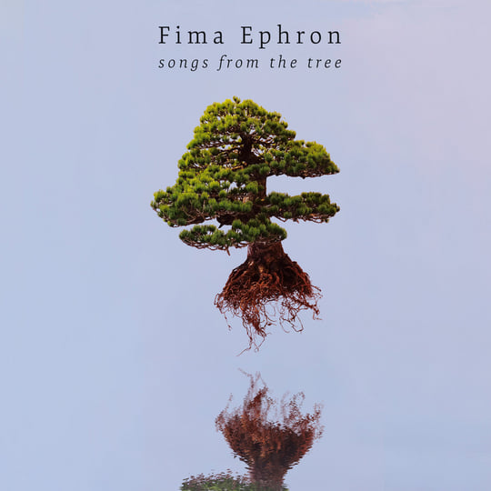 Songs From The Tree | Fima Ephron