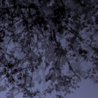 flx thumbnail