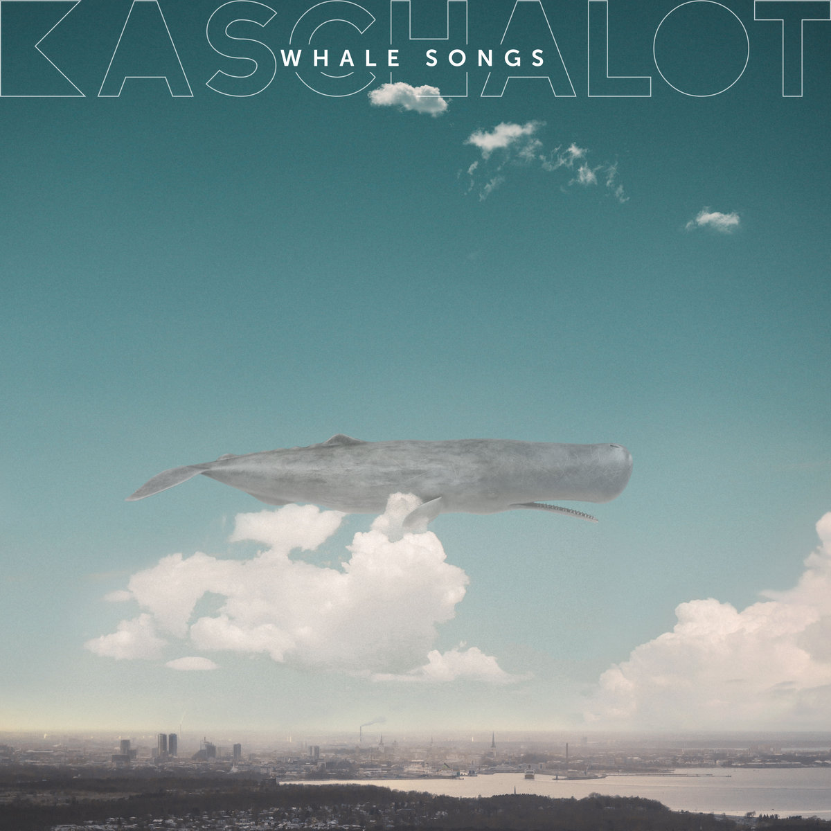 Whale Songs | Kaschalot