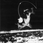 nektonic plasma thumbnail
