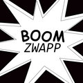 boomzwapp image