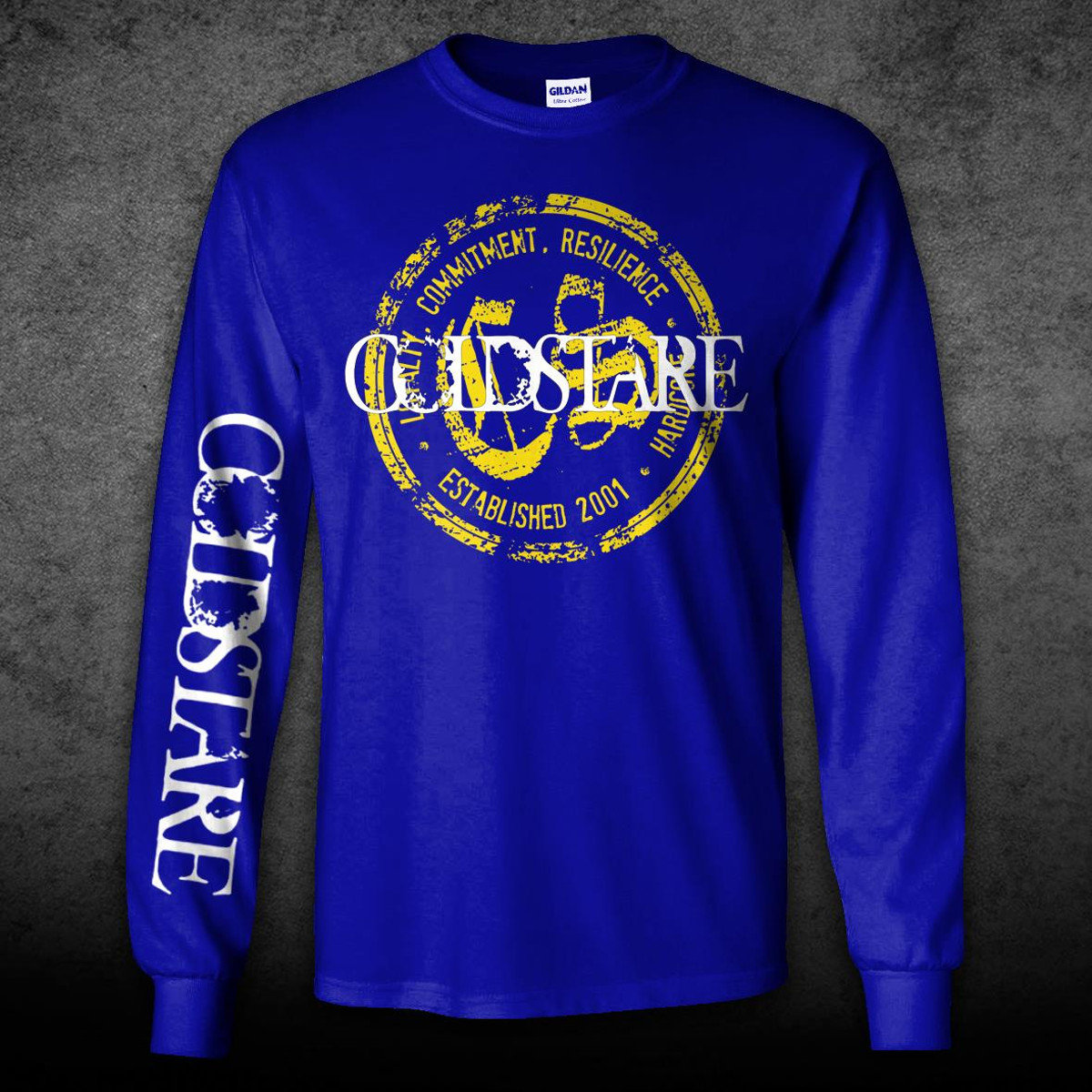 gildan royal blue t shirt