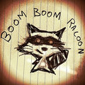Boom Boom Racoon image