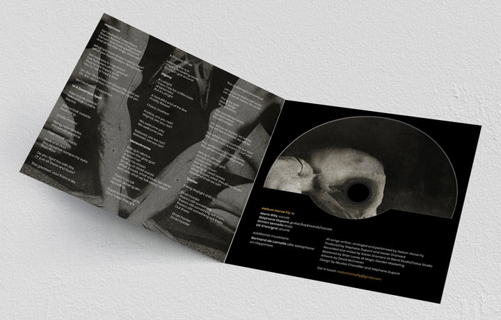 Hollowed | Helium Horse Fly