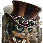 codercat thumbnail