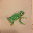 heedlessmischief thumbnail