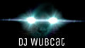 DJ WubCat image