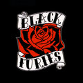 Black Furies image