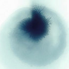 softlightsymphony thumbnail