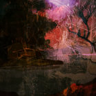 kemaleon thumbnail