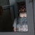 mtull79 thumbnail