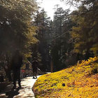 Aditya Sharma thumbnail