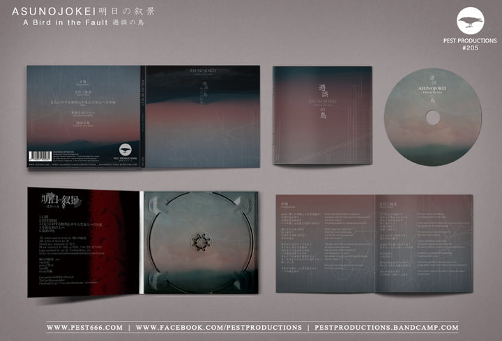 A Bird in the Fault / 過誤の鳥 | ASUNOJOKEI 明日の叙景
