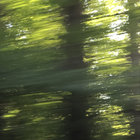 damova thumbnail