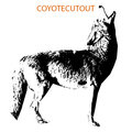 Coyote Cutout image