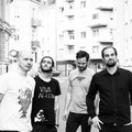 Pack of Wolves photo