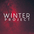 Winter Project image