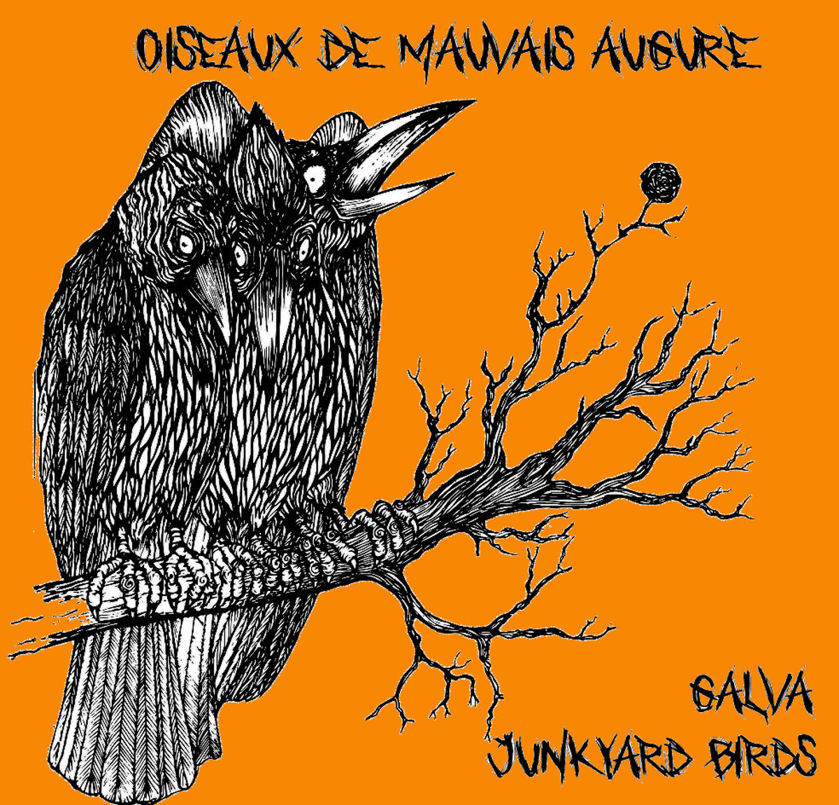 Oiseaux De Mauvais Augure T Shirt Collector Galva
