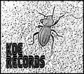 KOE records and stuff image
