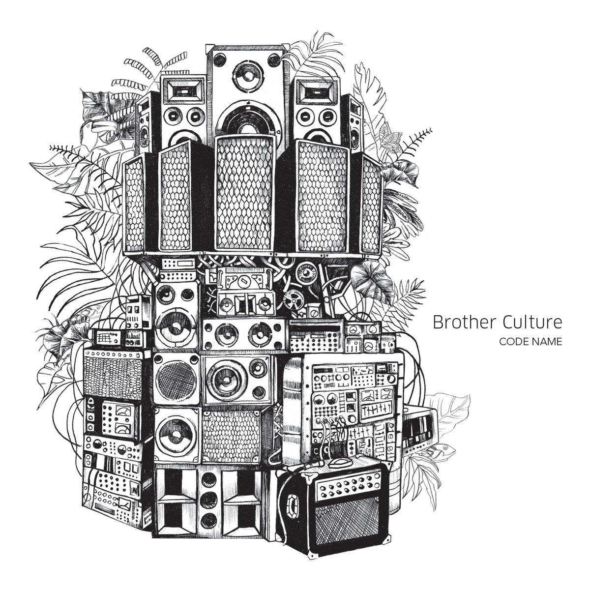 Code Name Brother Culture Evidence Music