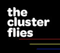 The Cluster Flies image