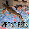 Wrong Pets image