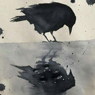 Akira Schneider thumbnail